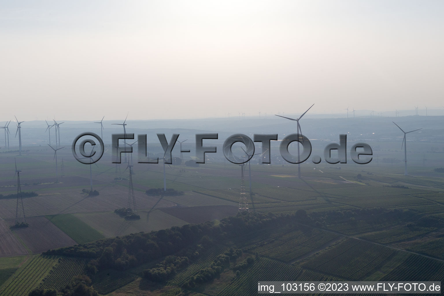 Dittelsheim-Heßloch im Bundesland Rheinland-Pfalz, Deutschland von einer Drohne aus