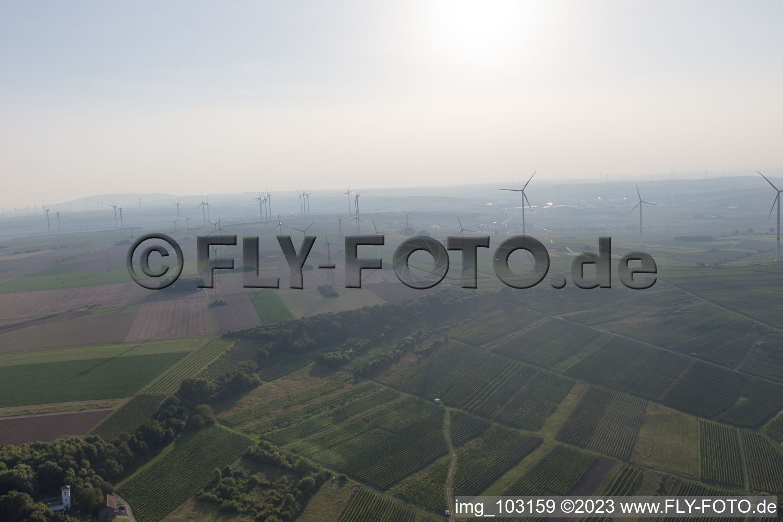 Luftaufnahme von Dittelsheim-Heßloch im Bundesland Rheinland-Pfalz, Deutschland