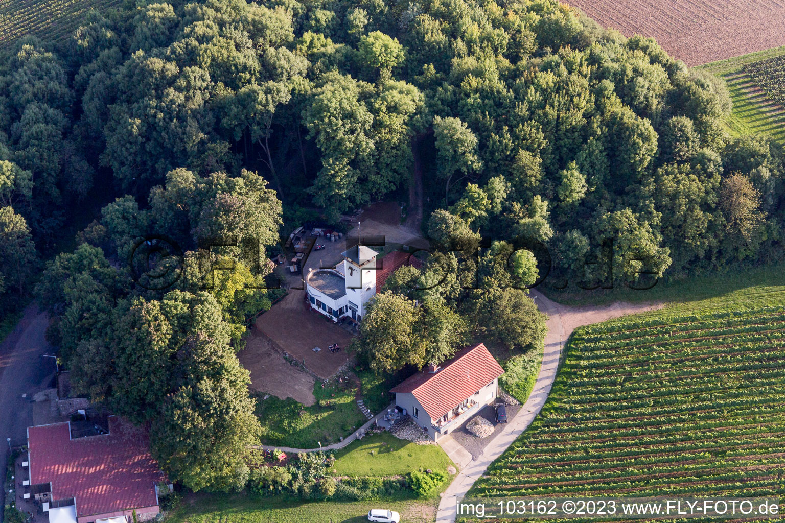 Dittelsheim-Heßloch im Bundesland Rheinland-Pfalz, Deutschland aus der Luft