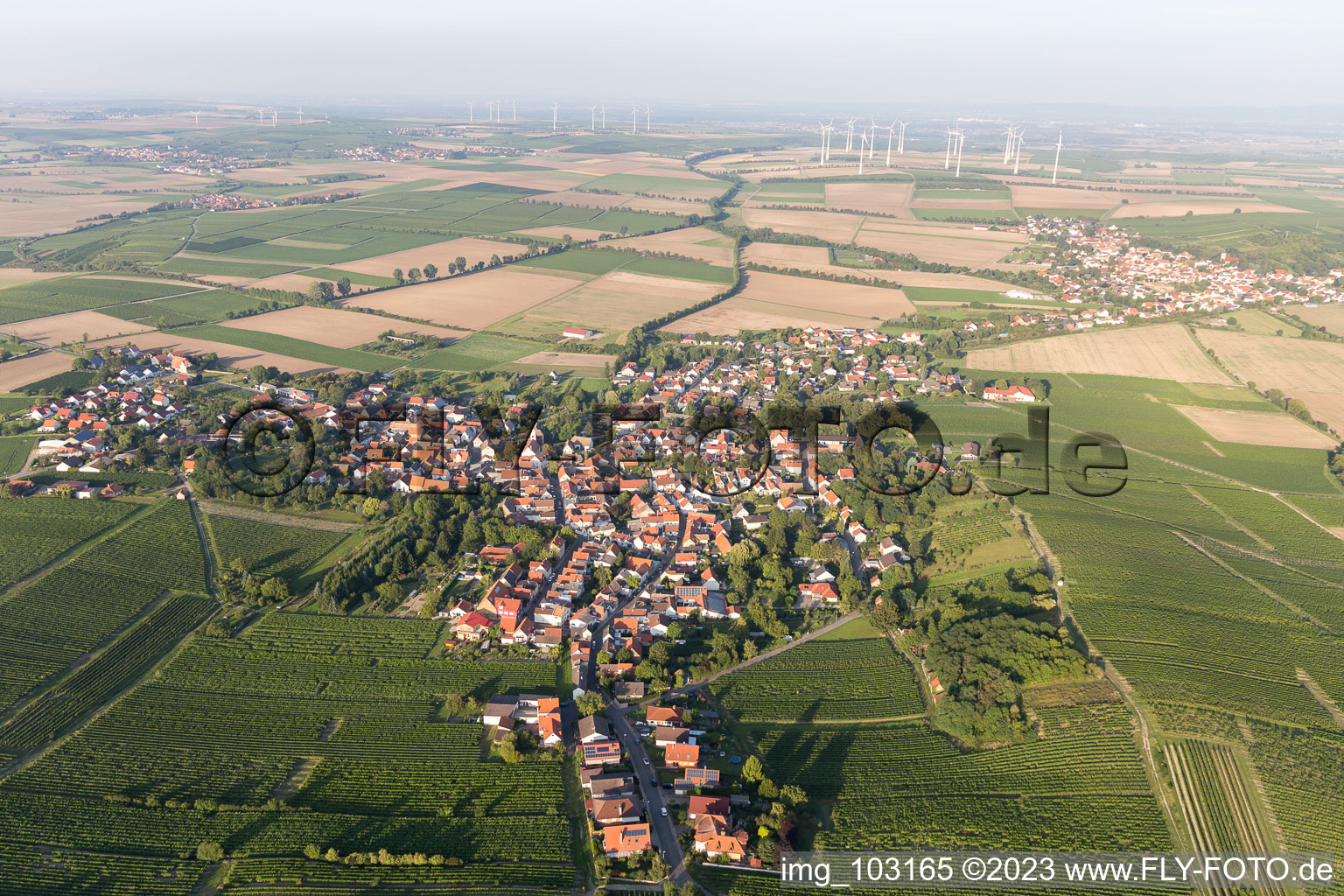 Dittelsheim-Heßloch im Bundesland Rheinland-Pfalz, Deutschland vom Flugzeug aus
