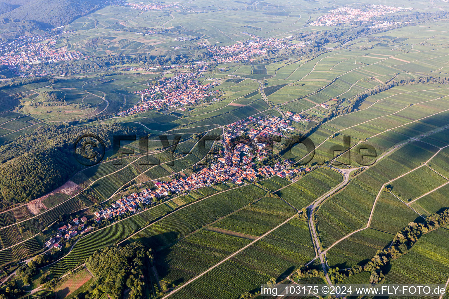 Dorf - Ansicht zwischen Weinbergen in Ranschbach im Bundesland Rheinland-Pfalz, Deutschland