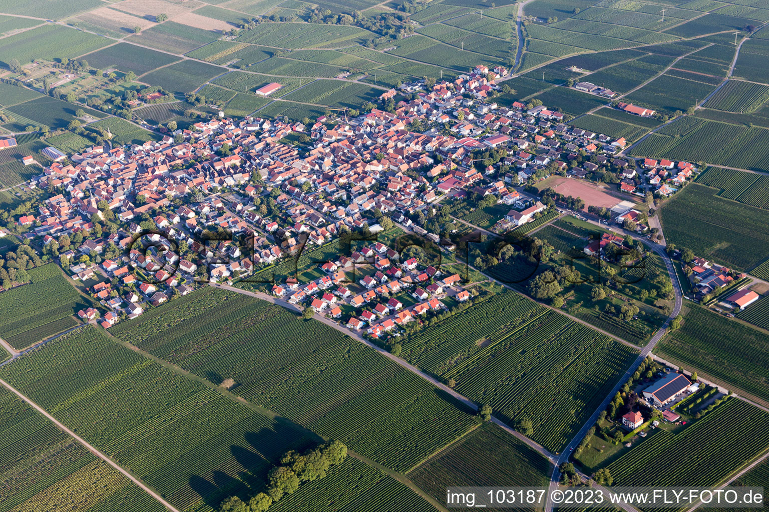 Ortsteil Nußdorf in Landau in der Pfalz im Bundesland Rheinland-Pfalz, Deutschland vom Flugzeug aus