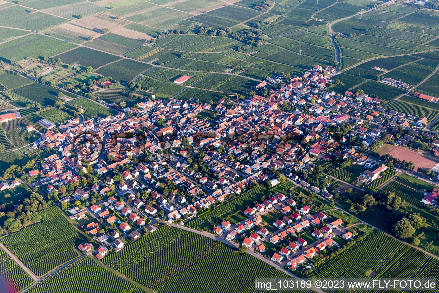 Ortsteil Nußdorf in Landau in der Pfalz im Bundesland Rheinland-Pfalz, Deutschland aus der Luft betrachtet