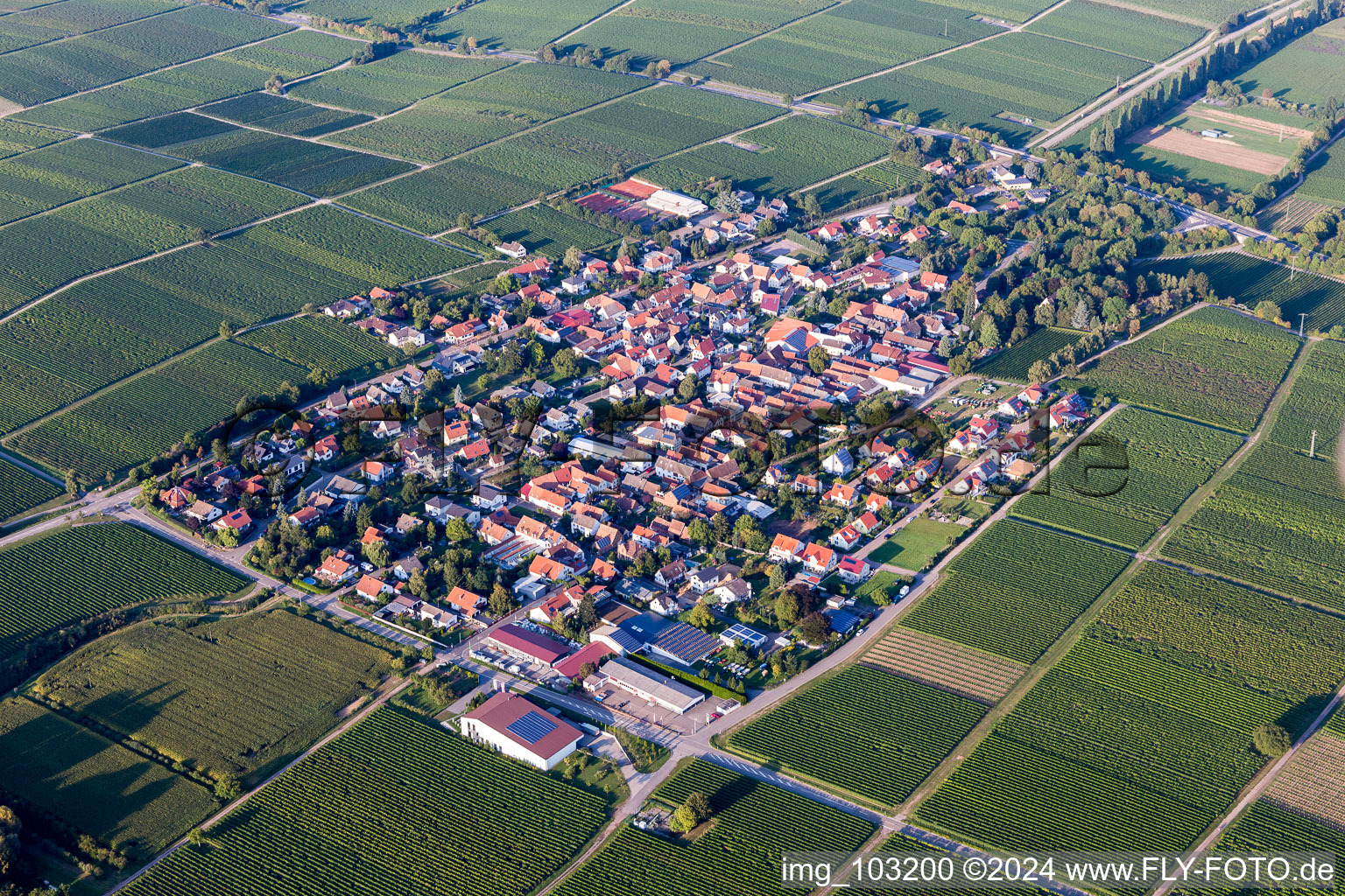 Luftbild von Dorf - Ansicht am Rande von landwirtschaftlichen Feldern und Nutzflächen in Walsheim im Bundesland Rheinland-Pfalz, Deutschland