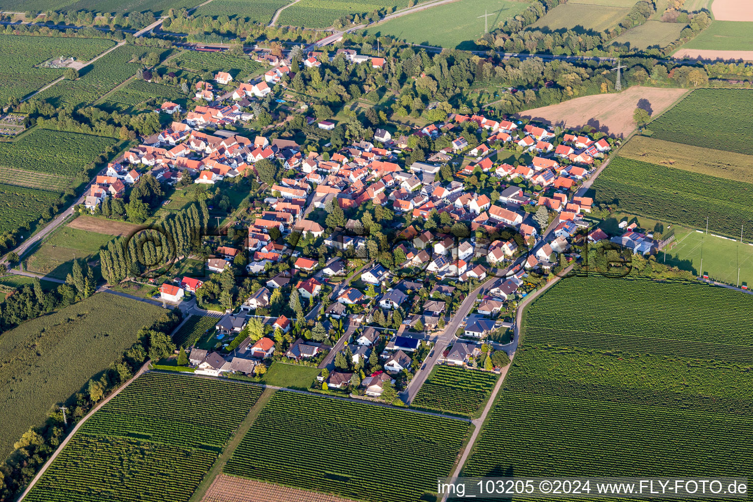 Dorf - Ansicht am Rande von landwirtschaftlichen Feldern und Nutzflächen in Knöringen im Bundesland Rheinland-Pfalz, Deutschland