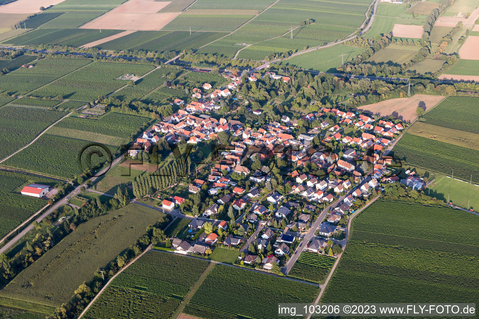 Walsheim im Bundesland Rheinland-Pfalz, Deutschland aus der Luft betrachtet
