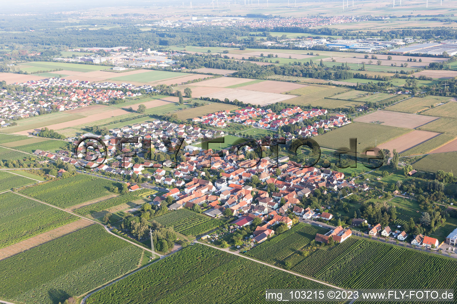 Luftaufnahme von Ortsteil Dammheim in Landau in der Pfalz im Bundesland Rheinland-Pfalz, Deutschland