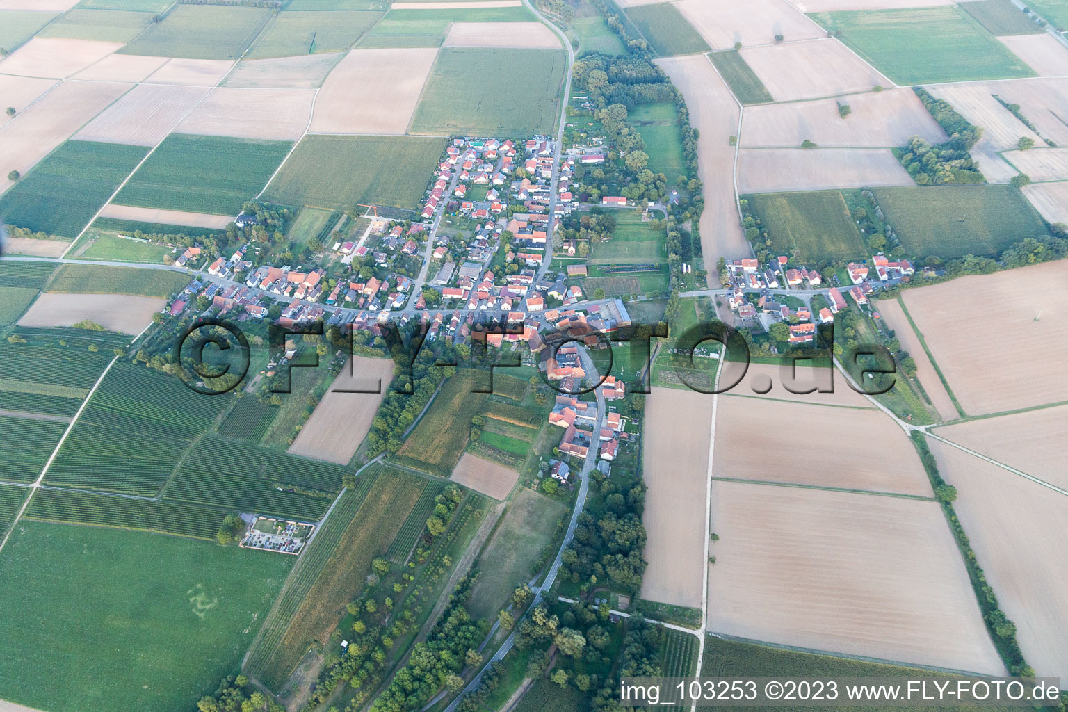 Ortsteil Kleinsteinfeld in Niederotterbach im Bundesland Rheinland-Pfalz, Deutschland aus der Vogelperspektive