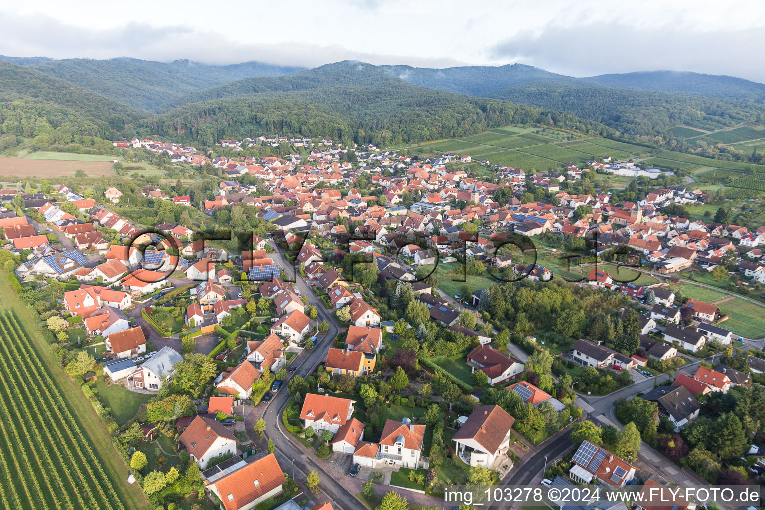 Luftbild von Ortsansicht der Straßen und Häuser der Wohngebiete in Oberotterbach im Bundesland Rheinland-Pfalz, Deutschland