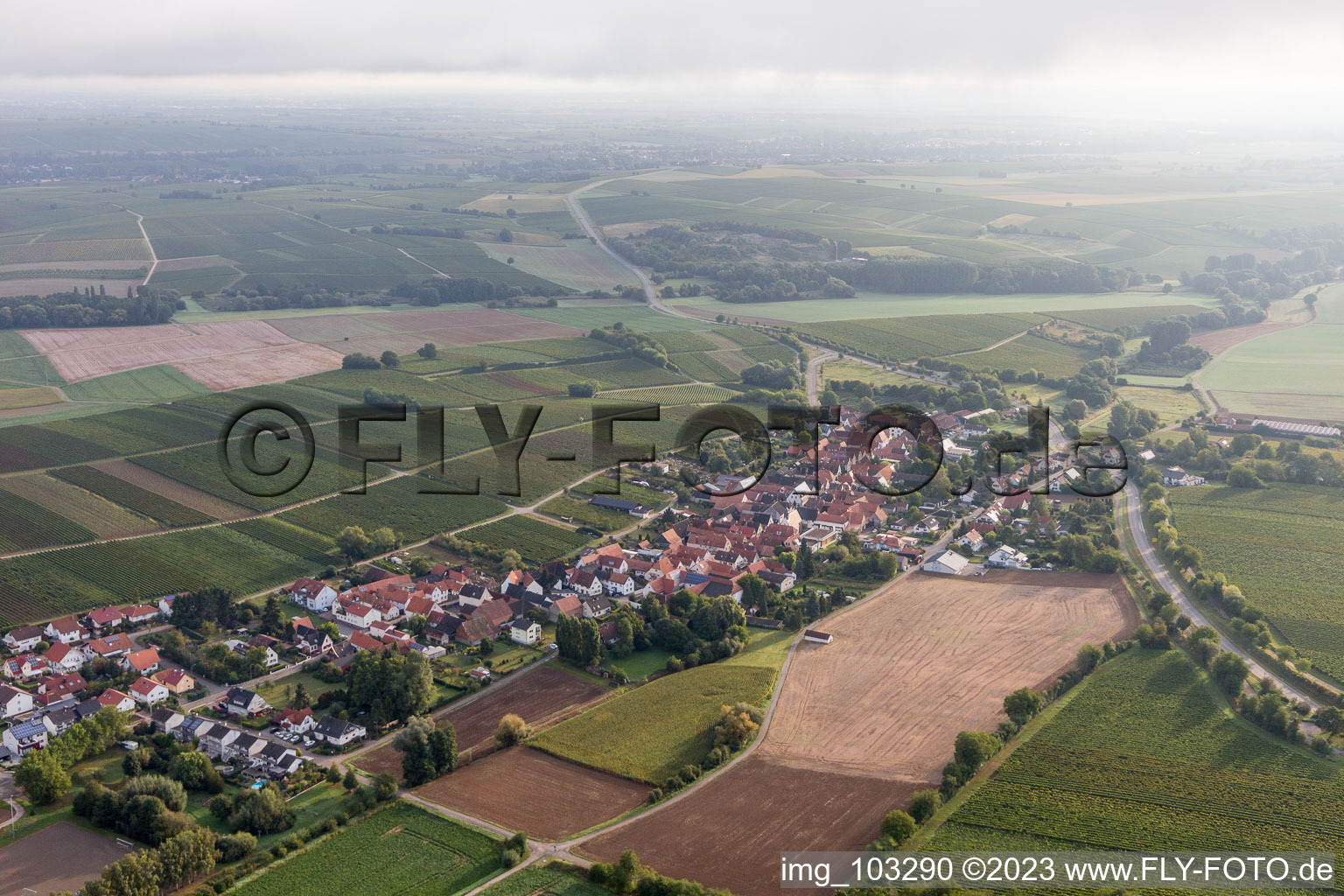 Niederhorbach im Bundesland Rheinland-Pfalz, Deutschland aus der Luft