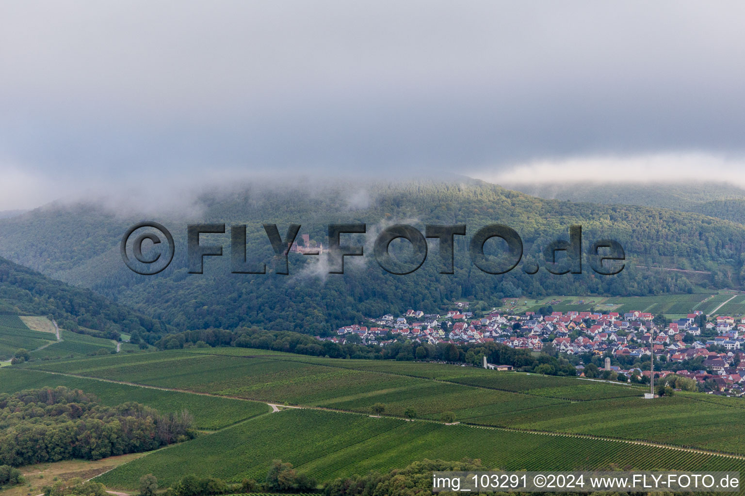 Klingenmünster im Bundesland Rheinland-Pfalz, Deutschland vom Flugzeug aus