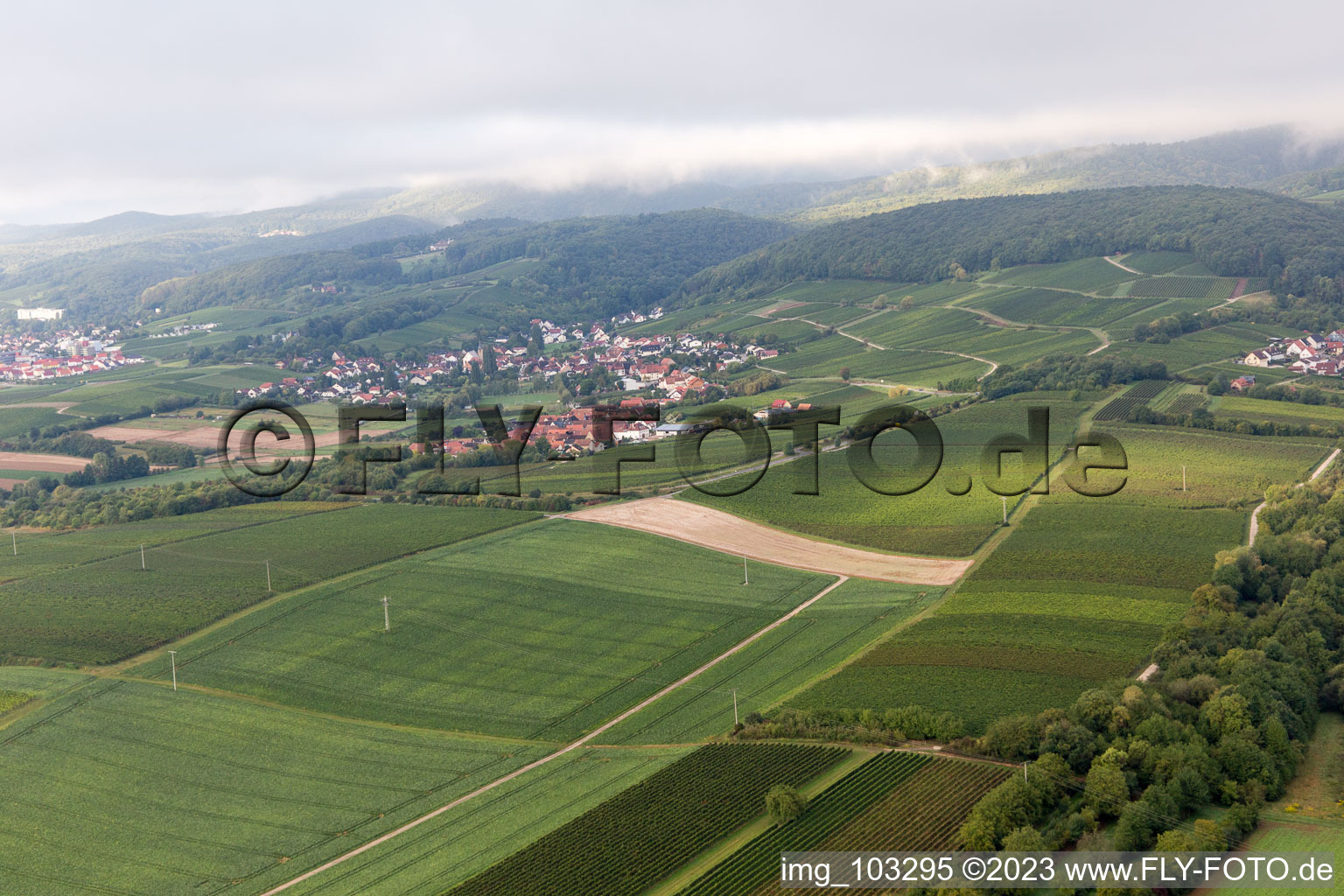 Luftbild von Ortsteil Oberhofen in Pleisweiler-Oberhofen im Bundesland Rheinland-Pfalz, Deutschland
