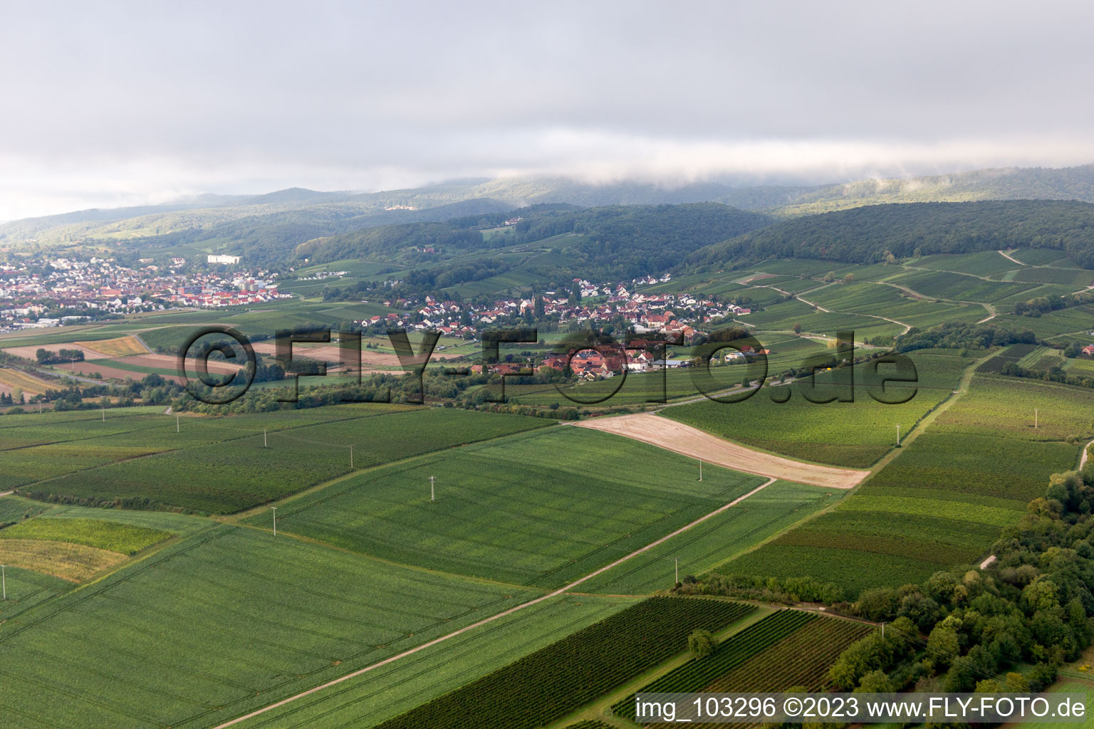 Luftaufnahme von Ortsteil Oberhofen in Pleisweiler-Oberhofen im Bundesland Rheinland-Pfalz, Deutschland