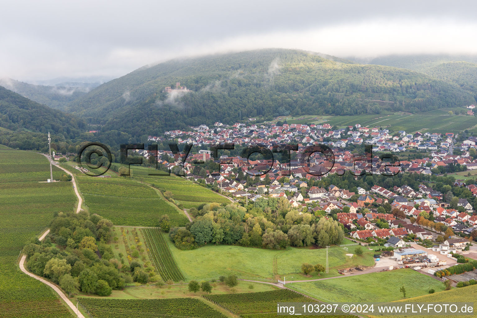 Luftaufnahme von Klingenmünster im Bundesland Rheinland-Pfalz, Deutschland