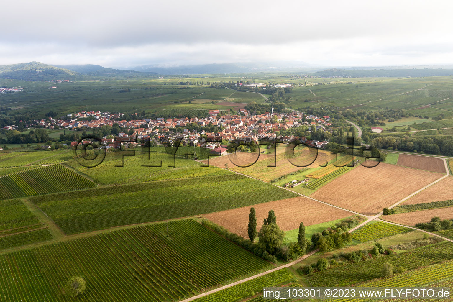 Göcklingen im Bundesland Rheinland-Pfalz, Deutschland aus der Luft betrachtet