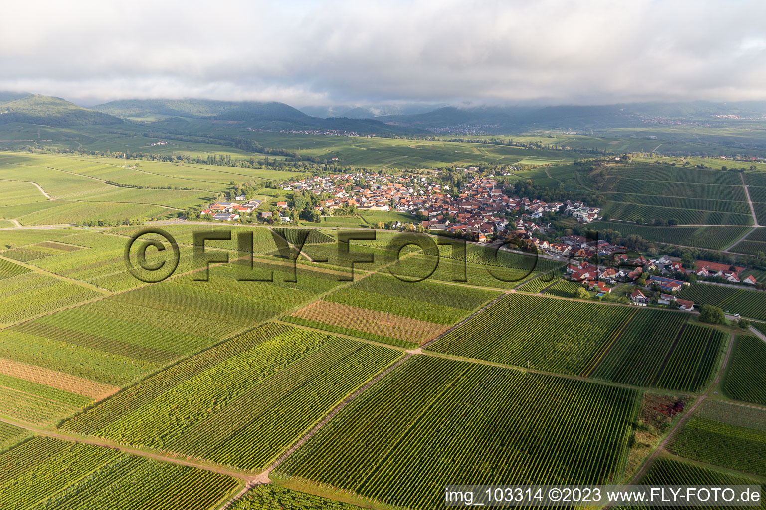 Ilbesheim bei Landau in der Pfalz im Bundesland Rheinland-Pfalz, Deutschland aus der Drohnenperspektive