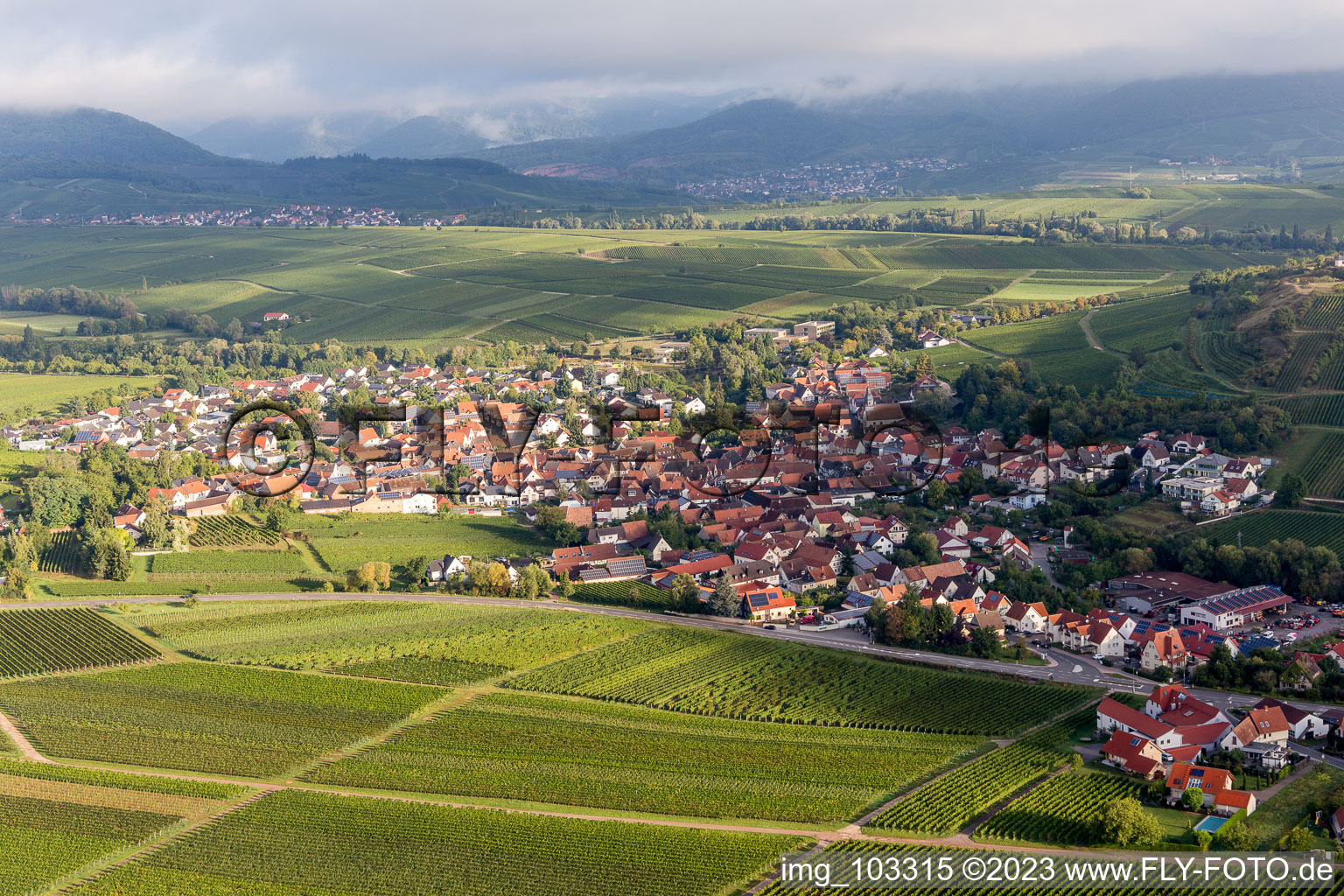 Ilbesheim bei Landau in der Pfalz im Bundesland Rheinland-Pfalz, Deutschland von einer Drohne aus