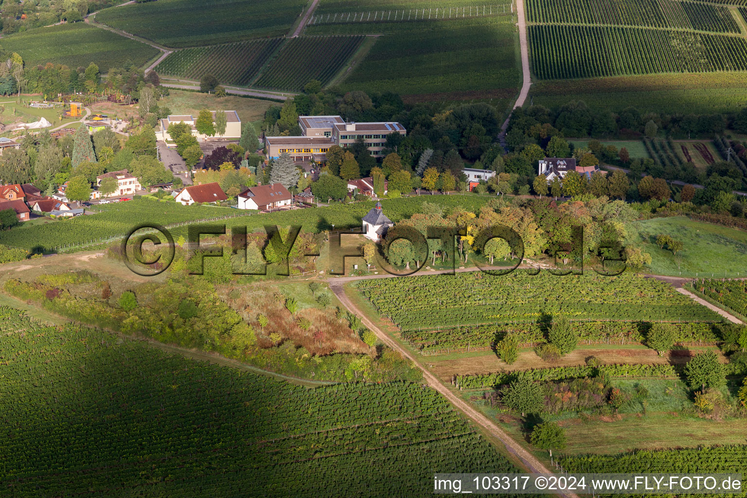 Luftbild von Ilbesheim bei Landau in der Pfalz im Bundesland Rheinland-Pfalz, Deutschland