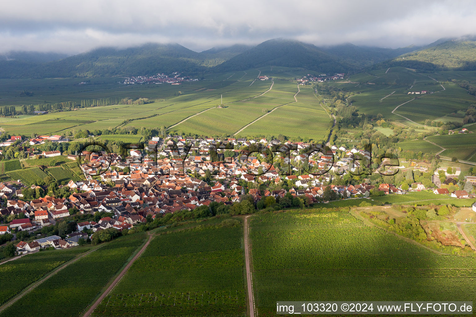 Schrägluftbild von Ilbesheim bei Landau in der Pfalz im Bundesland Rheinland-Pfalz, Deutschland
