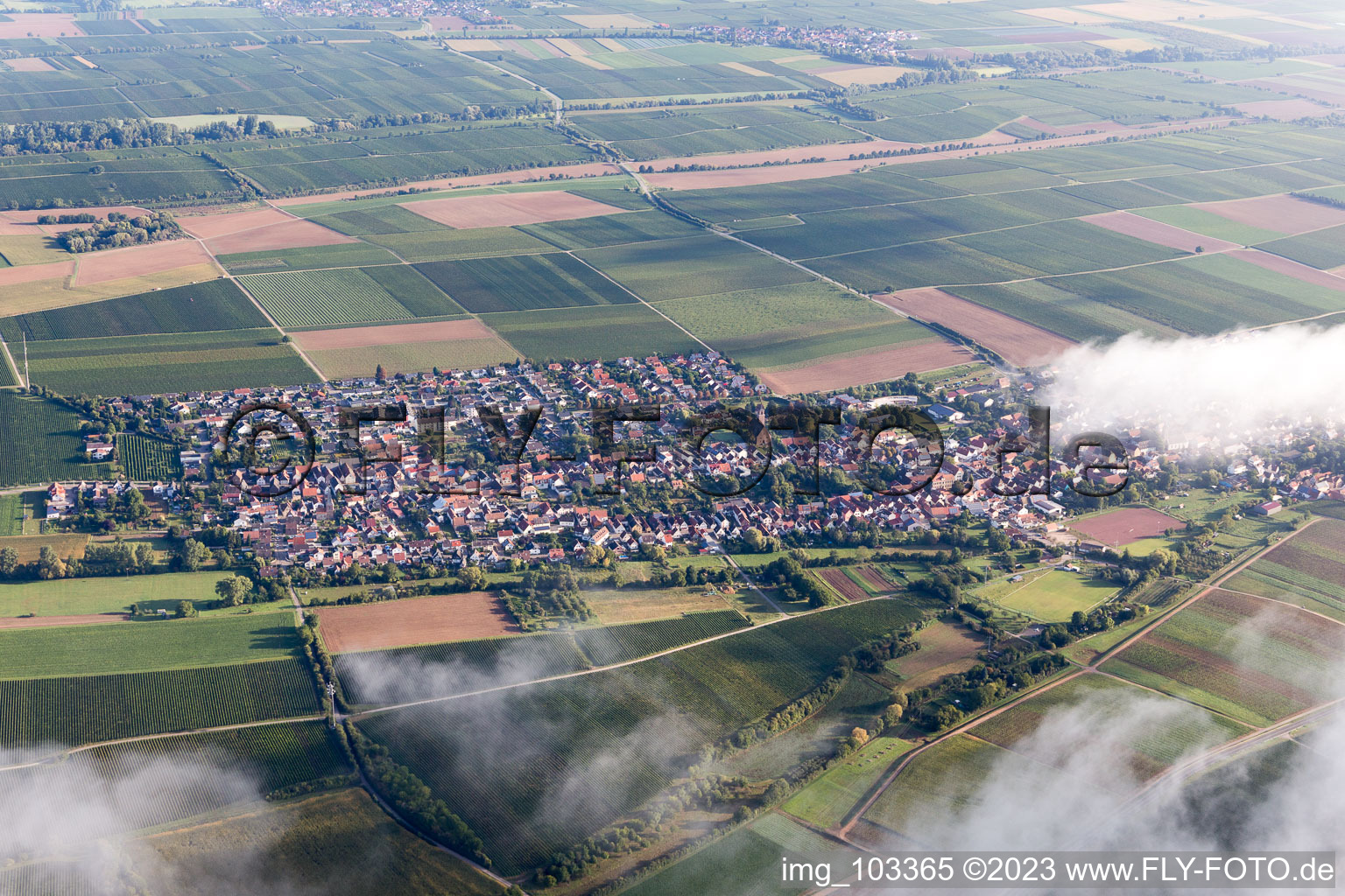 Essingen im Bundesland Rheinland-Pfalz, Deutschland aus der Vogelperspektive