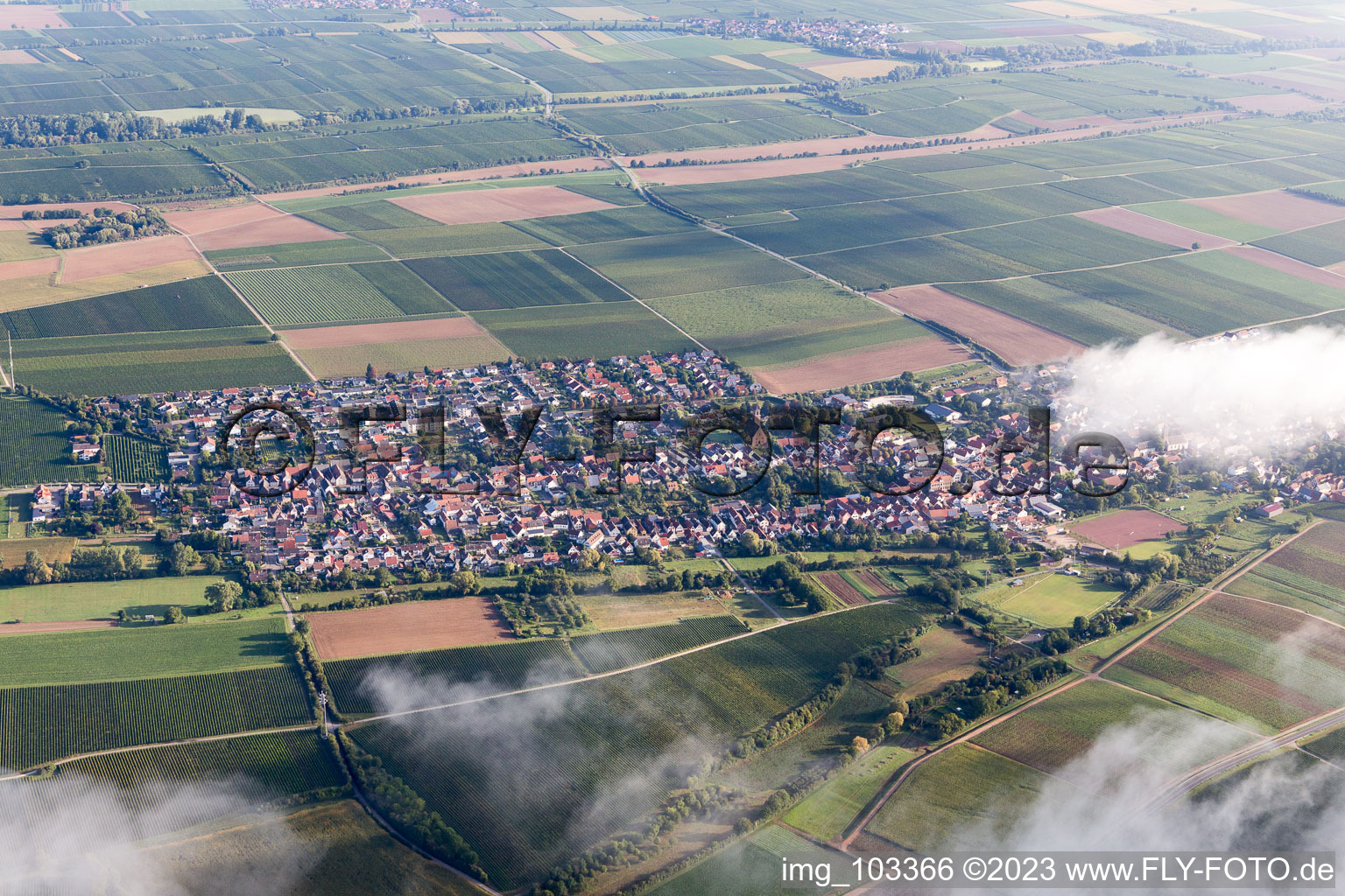 Essingen im Bundesland Rheinland-Pfalz, Deutschland aus der Luft betrachtet