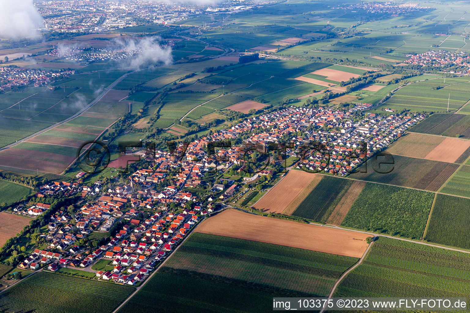 Luftbild von Hochstadt im Bundesland Rheinland-Pfalz, Deutschland