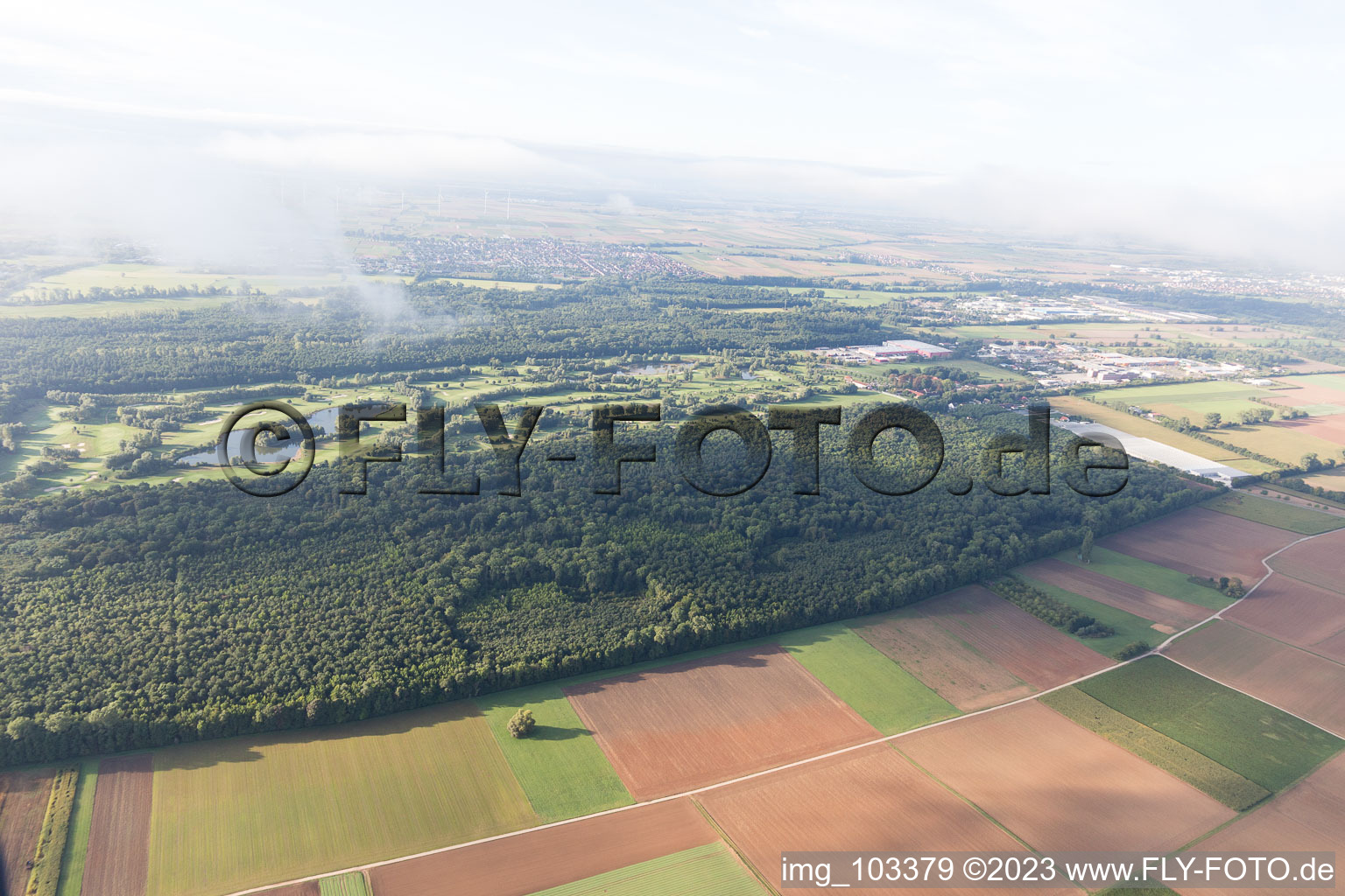 Luftbild von Essingen, Golfplatz im Bundesland Rheinland-Pfalz, Deutschland