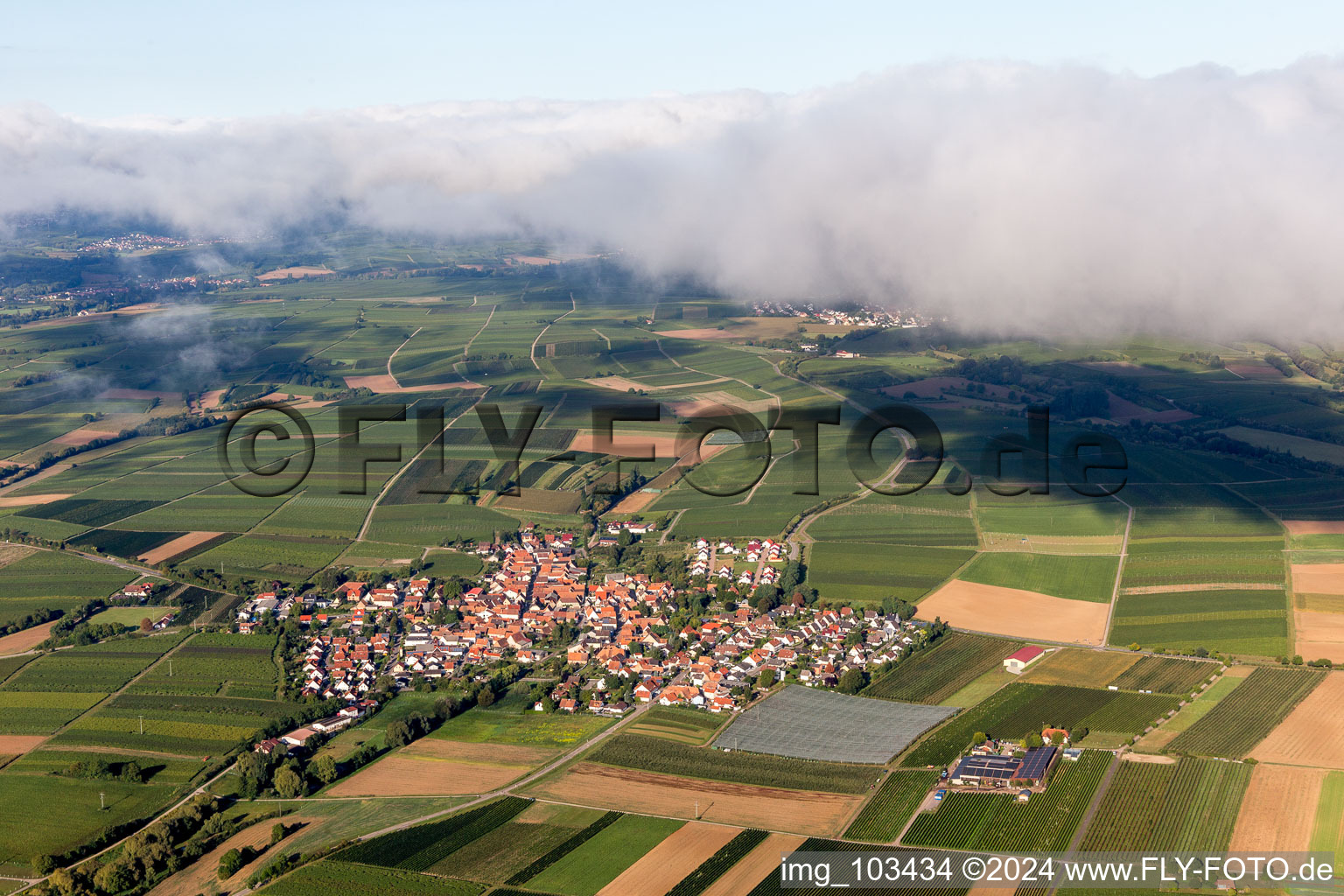 Luftaufnahme von Impflingen im Bundesland Rheinland-Pfalz, Deutschland