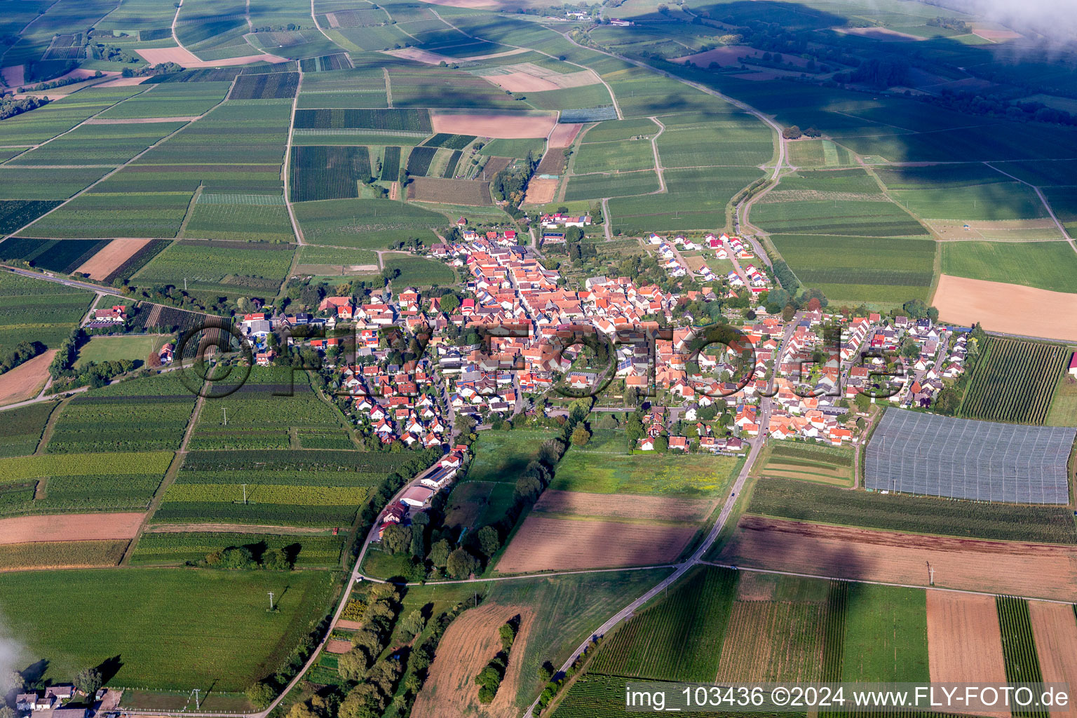 Impflingen im Bundesland Rheinland-Pfalz, Deutschland von oben