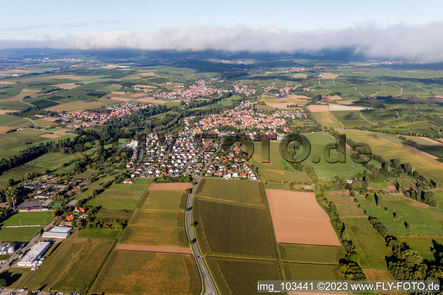 Ortsteil Billigheim in Billigheim-Ingenheim im Bundesland Rheinland-Pfalz, Deutschland aus der Luft