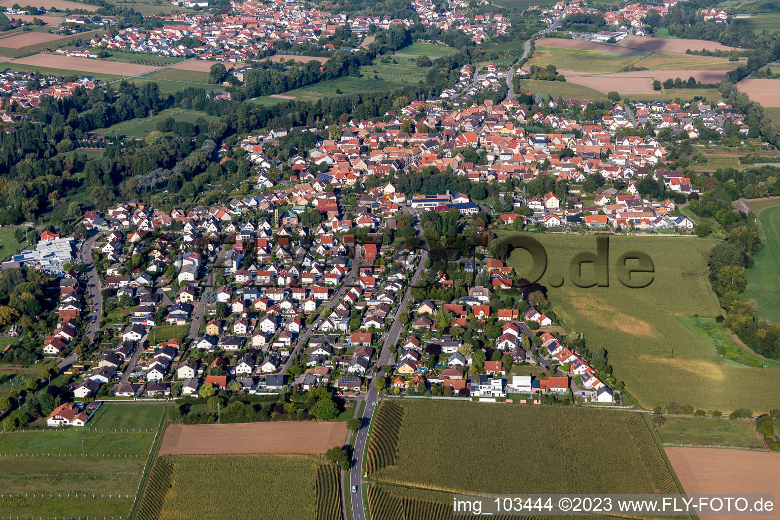 Ortsteil Billigheim in Billigheim-Ingenheim im Bundesland Rheinland-Pfalz, Deutschland vom Flugzeug aus