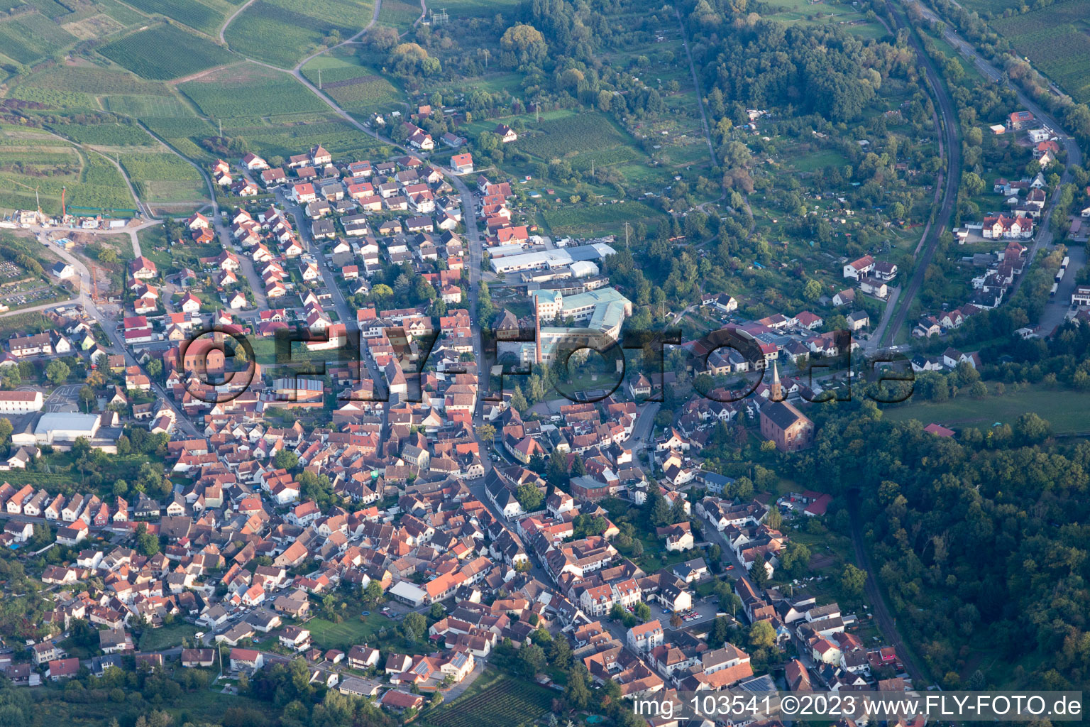 Albersweiler im Bundesland Rheinland-Pfalz, Deutschland aus der Luft betrachtet
