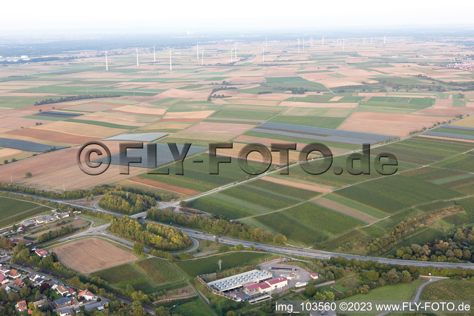 Drohnenbild von Insheim im Bundesland Rheinland-Pfalz, Deutschland