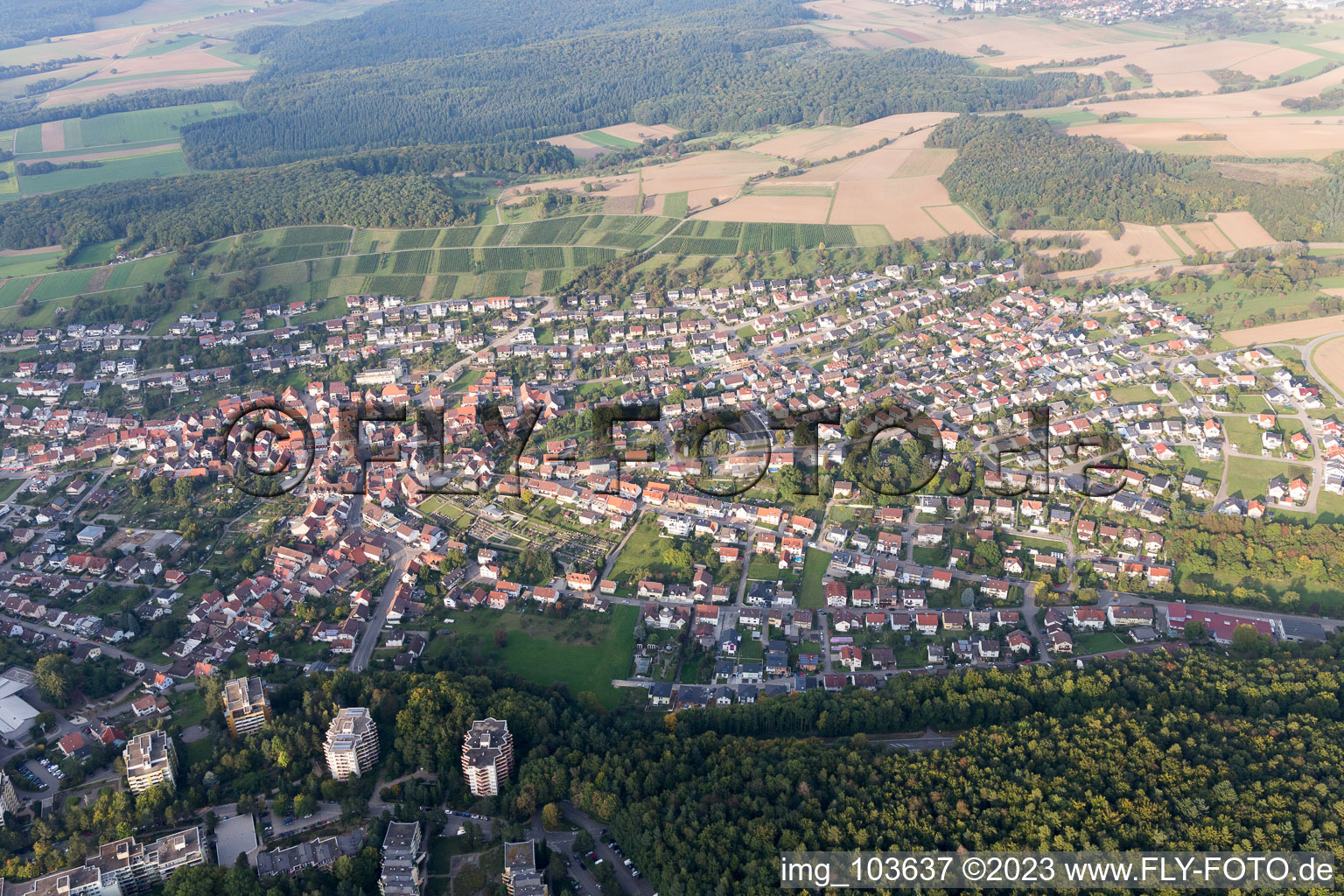 Eisingen im Bundesland Baden-Württemberg, Deutschland von oben gesehen