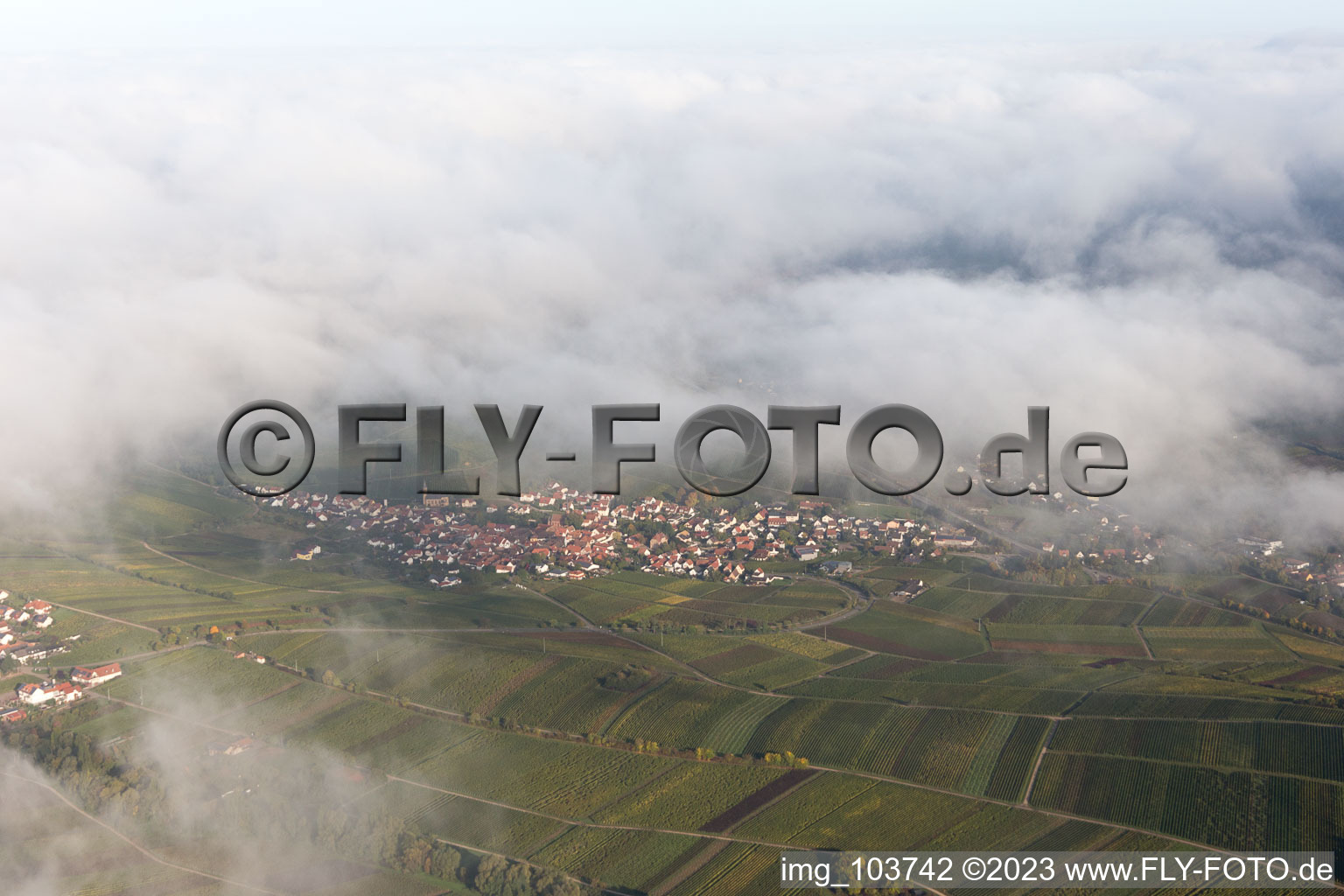 Drohnenbild von Birkweiler im Bundesland Rheinland-Pfalz, Deutschland