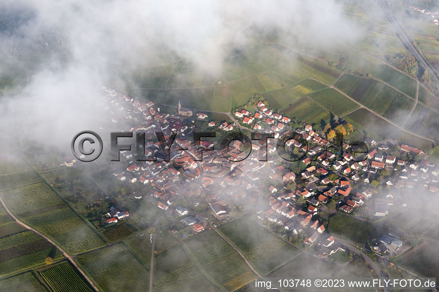 Birkweiler im Bundesland Rheinland-Pfalz, Deutschland von der Drohne aus gesehen