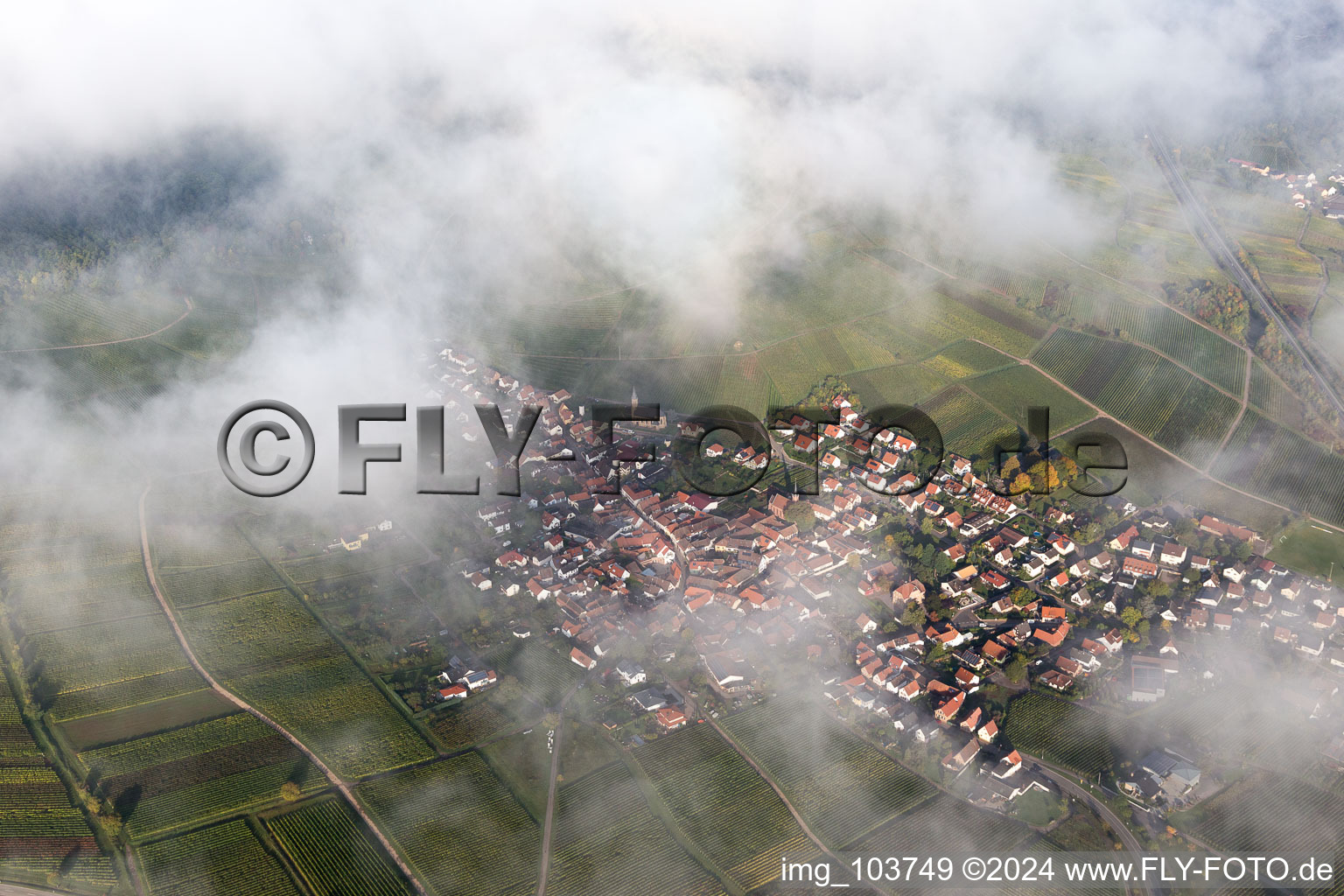 Luftbild von Birkweiler im Bundesland Rheinland-Pfalz, Deutschland