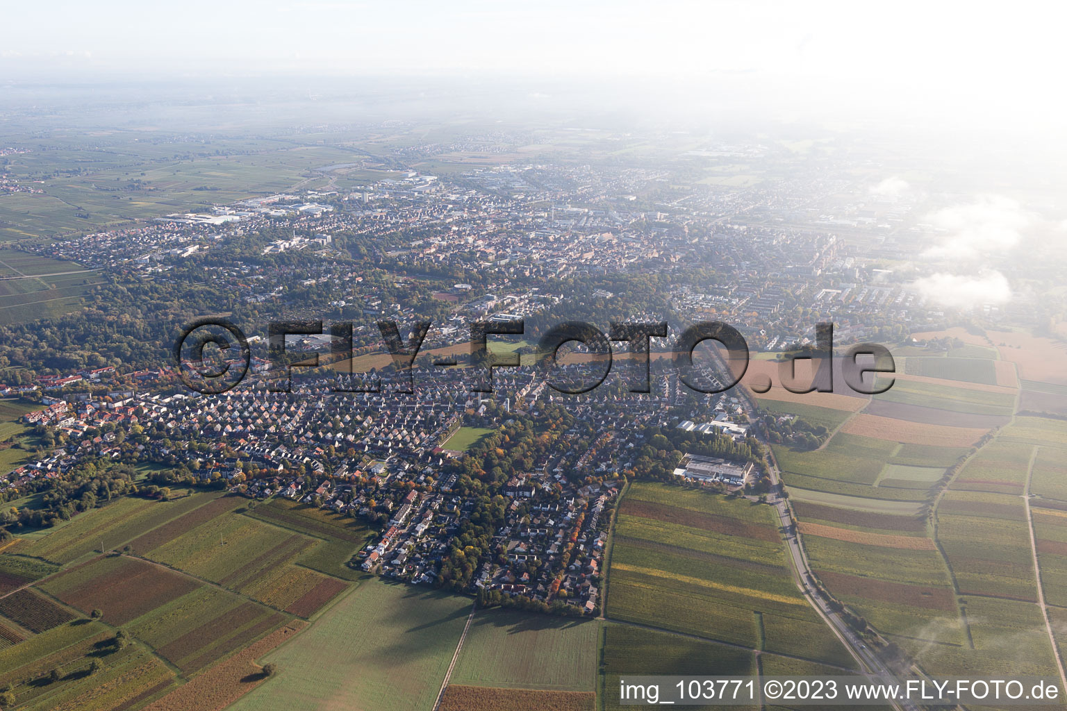 Schrägluftbild von Ortsteil Wollmesheim in Landau in der Pfalz im Bundesland Rheinland-Pfalz, Deutschland