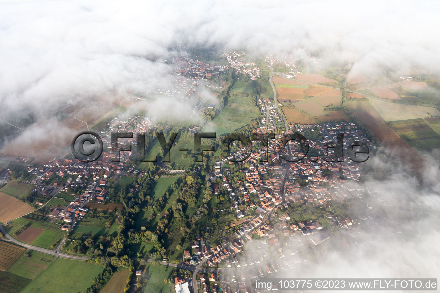 Ortsteil Billigheim in Billigheim-Ingenheim im Bundesland Rheinland-Pfalz, Deutschland aus der Luft betrachtet