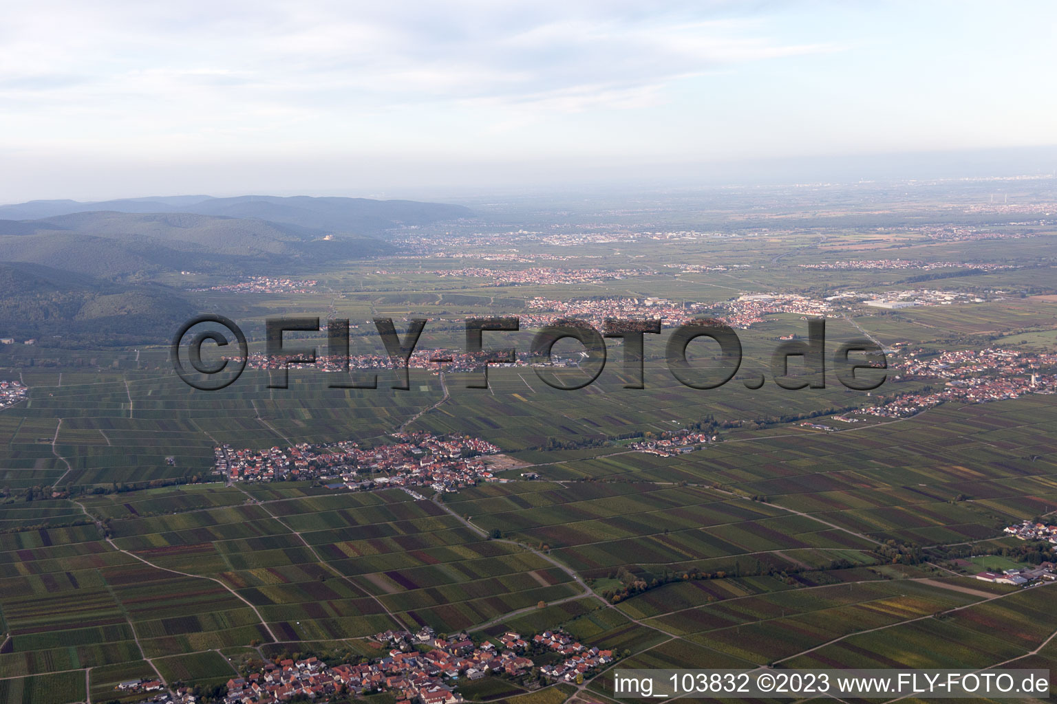 Luftbild von Flemlingen im Bundesland Rheinland-Pfalz, Deutschland