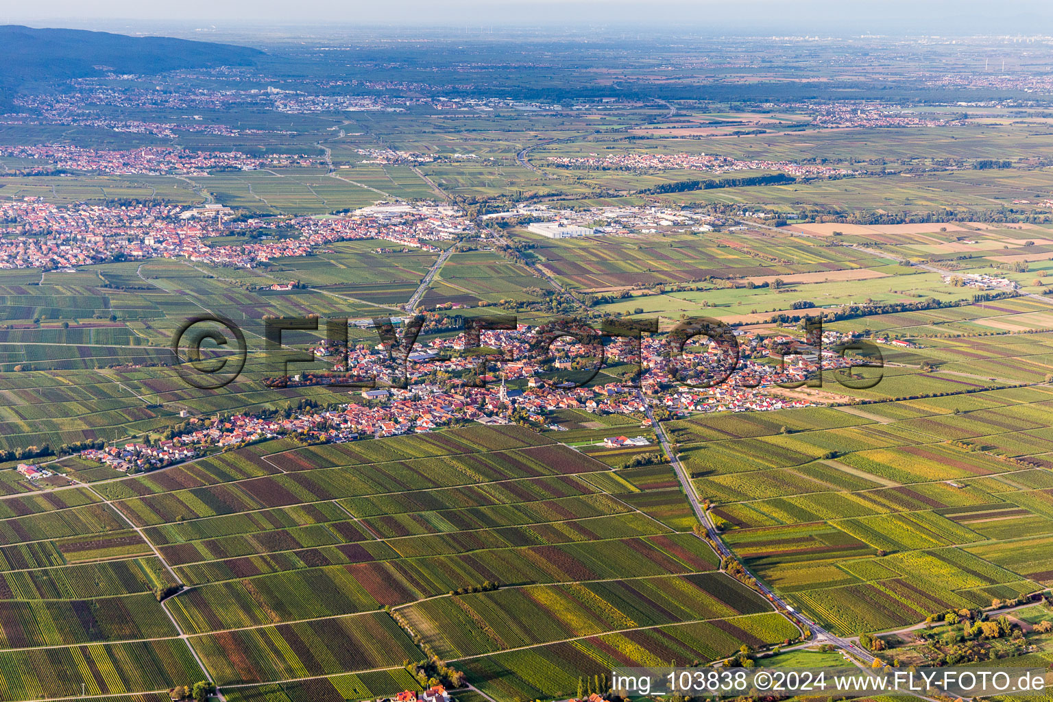 Ortsansicht der Straßen und Häuser der Wohngebiete in Roschbach im Bundesland Rheinland-Pfalz, Deutschland