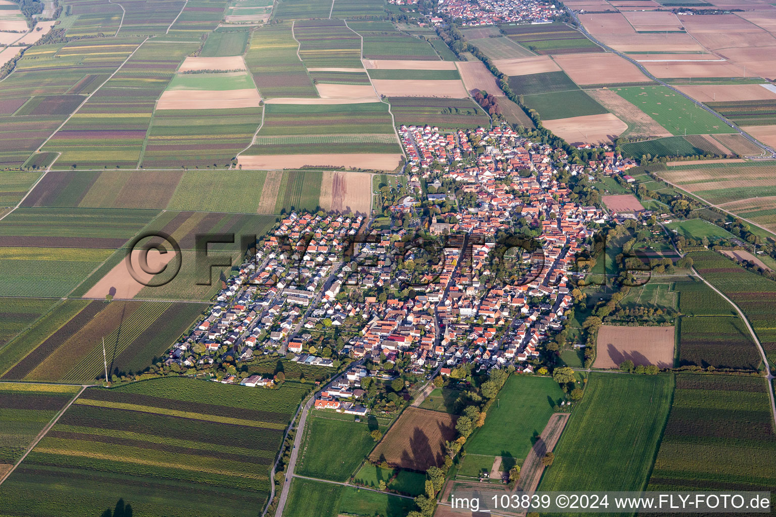 Dorf - Ansicht am Rande von landwirtschaftlichen Feldern und Nutzflächen in Essingen im Bundesland Rheinland-Pfalz, Deutschland