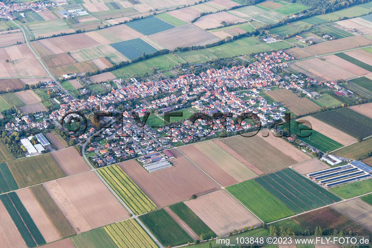 Gommersheim im Bundesland Rheinland-Pfalz, Deutschland vom Flugzeug aus