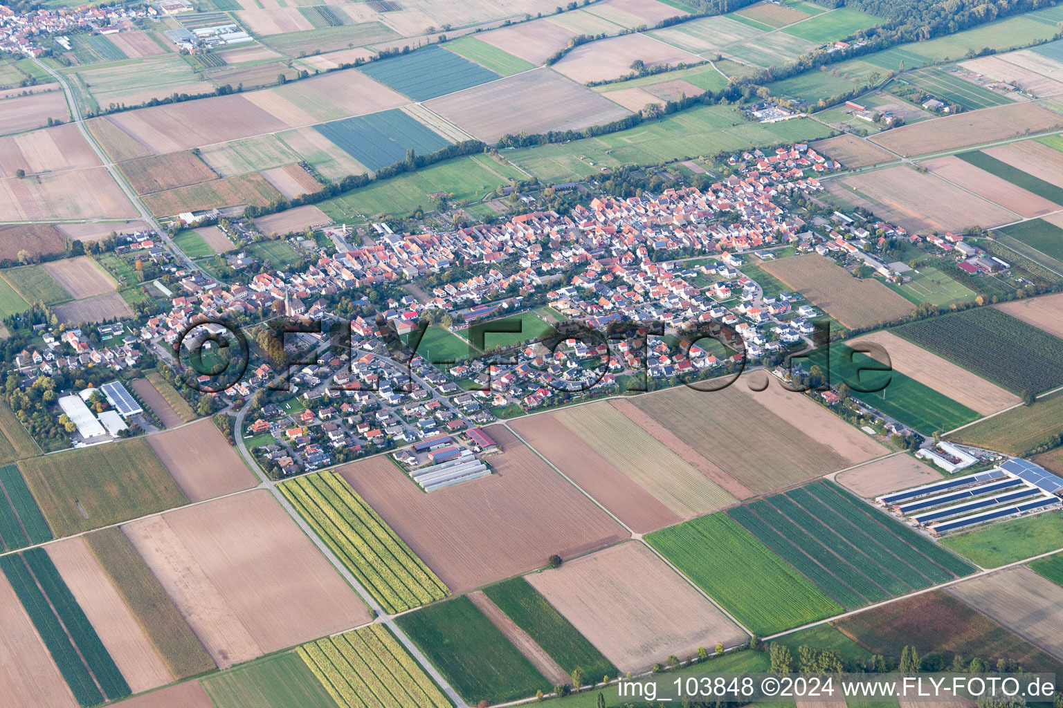 Gommersheim im Bundesland Rheinland-Pfalz, Deutschland vom Flugzeug aus