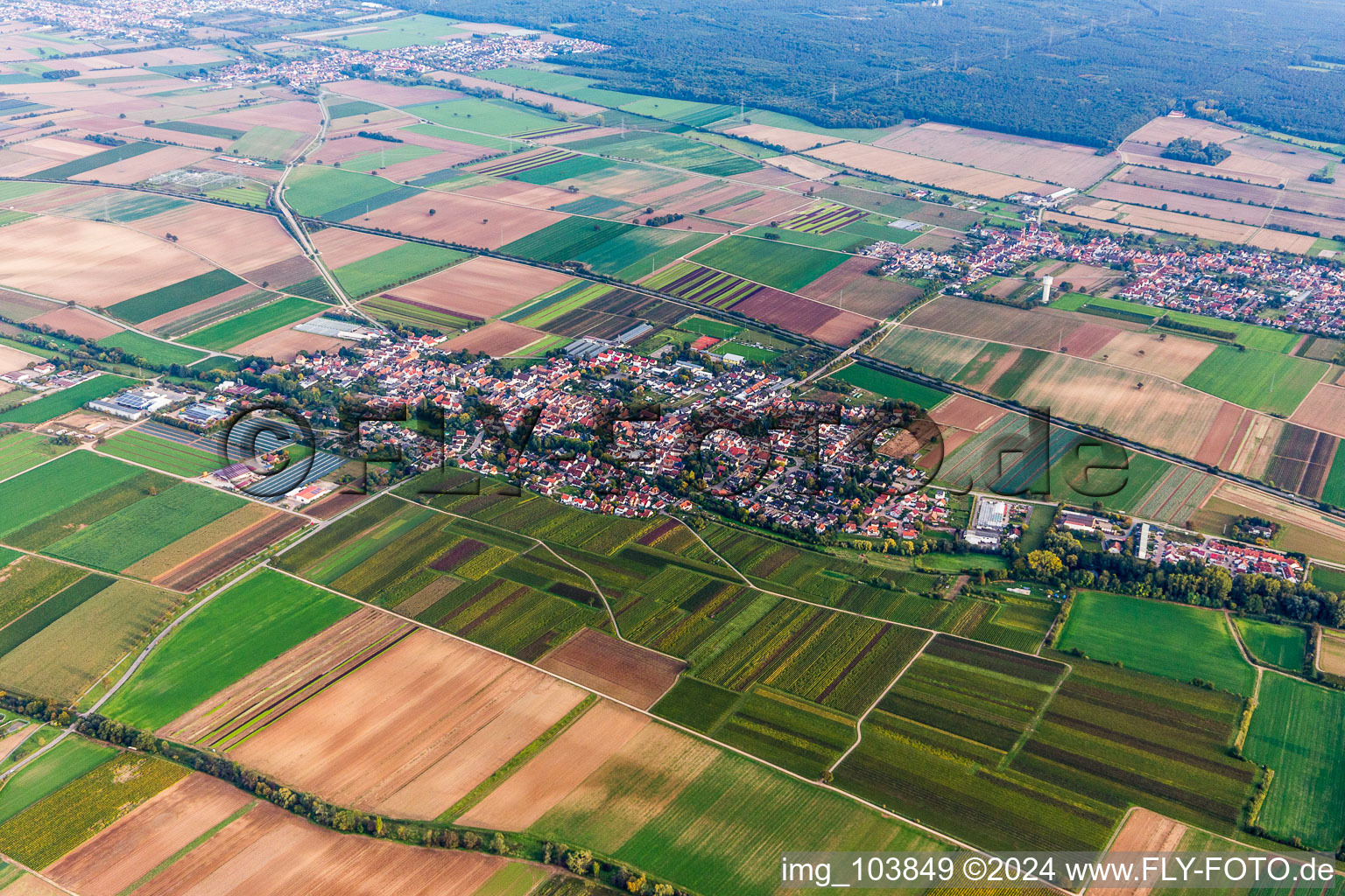 Luftaufnahme von Dorf - Ansicht am Rande von landwirtschaftlichen Feldern und Nutzflächen in Weingarten (Pfalz) im Bundesland Rheinland-Pfalz, Deutschland
