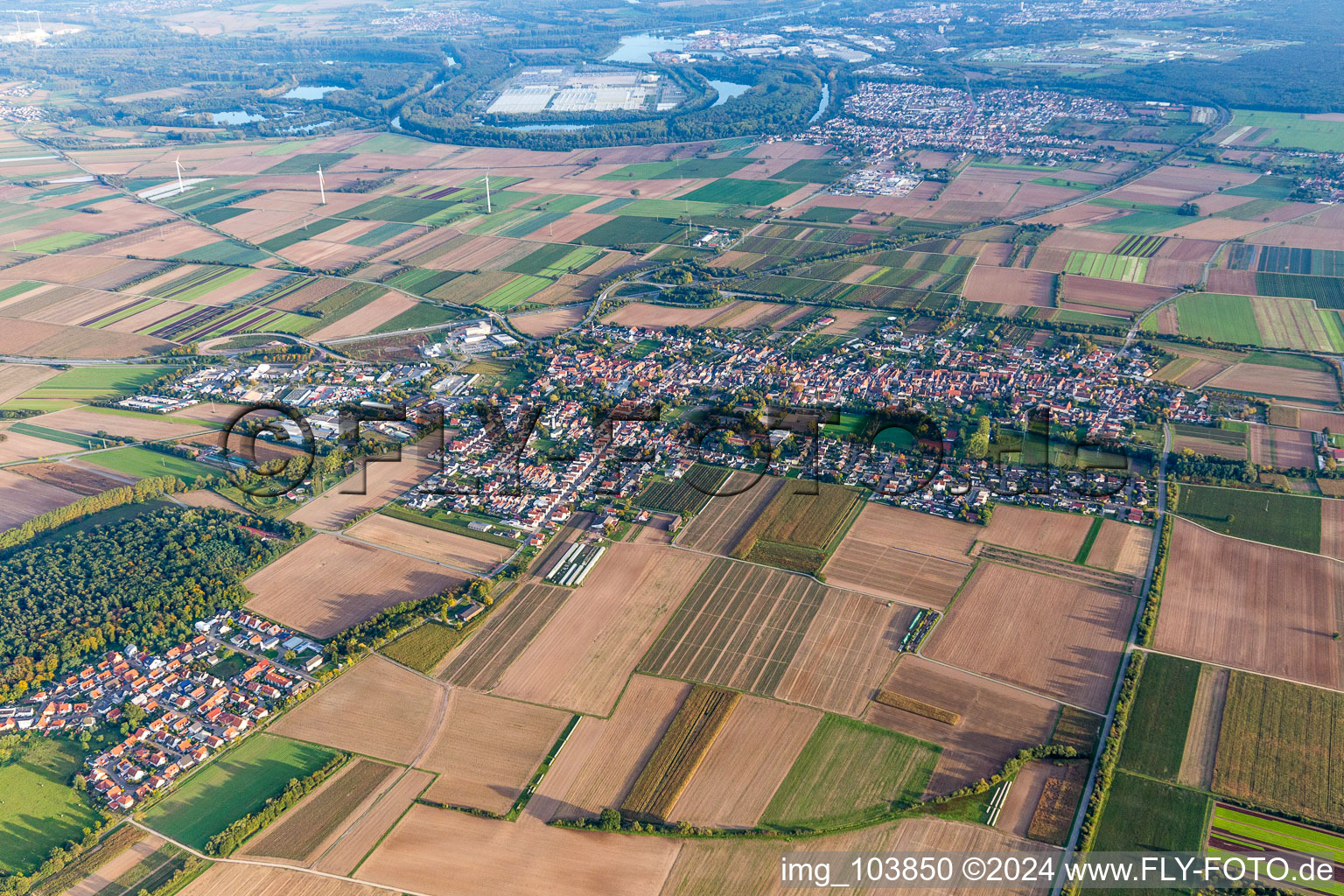 Luftaufnahme von Ortsansicht der Straßen und Häuser der Wohngebiete in Schwegenheim im Bundesland Rheinland-Pfalz, Deutschland