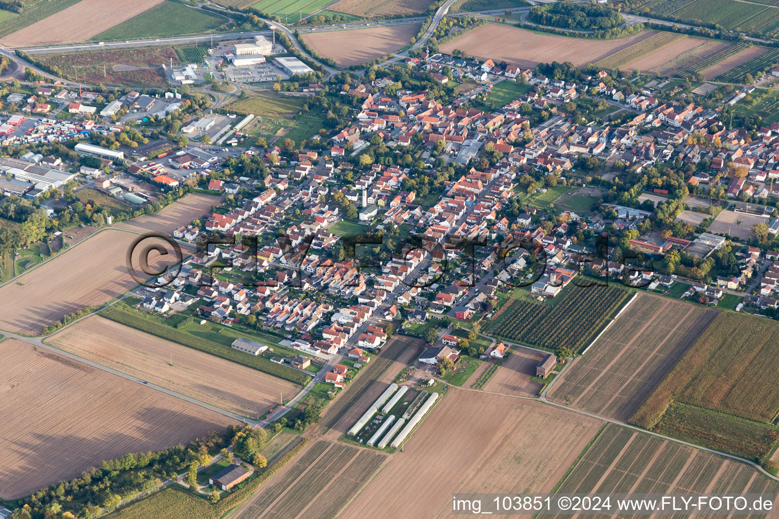 Schwegenheim im Bundesland Rheinland-Pfalz, Deutschland von oben