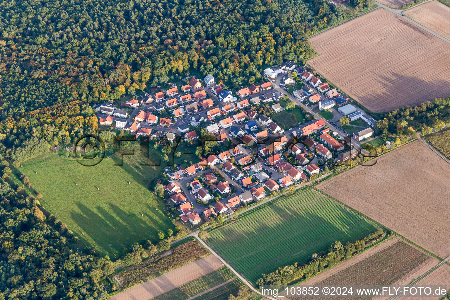 Siedlungsgebiet im Ortsteil Vorderlohe in Schwegenheim im Bundesland Rheinland-Pfalz, Deutschland