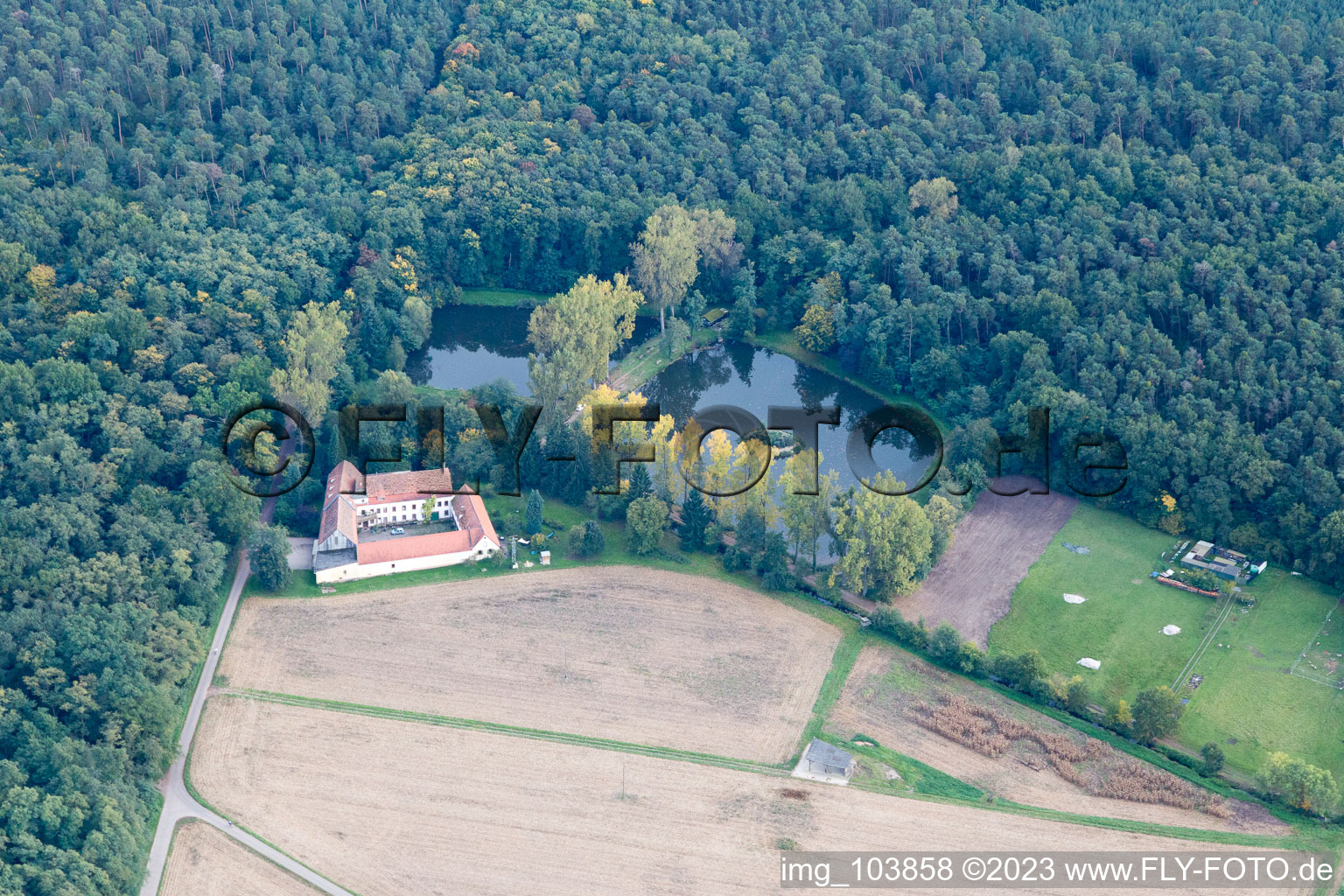 Luftbild von Lustadt, Lachenmühle im Bundesland Rheinland-Pfalz, Deutschland
