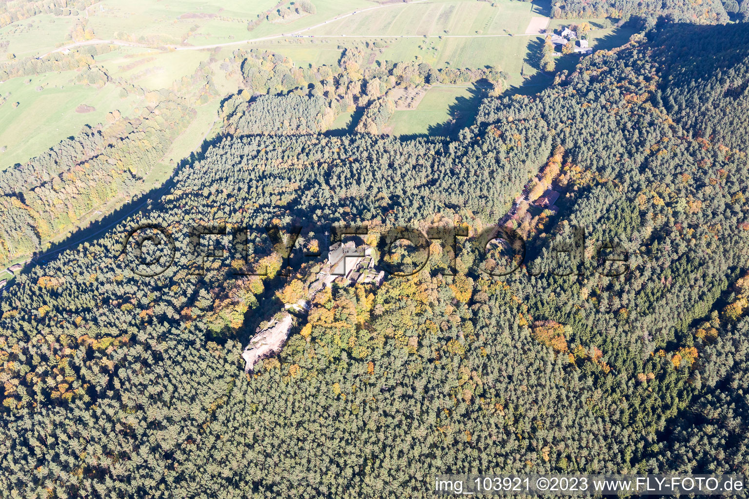 Busenberg, Burgruine Drachenfels im Bundesland Rheinland-Pfalz, Deutschland aus der Luft